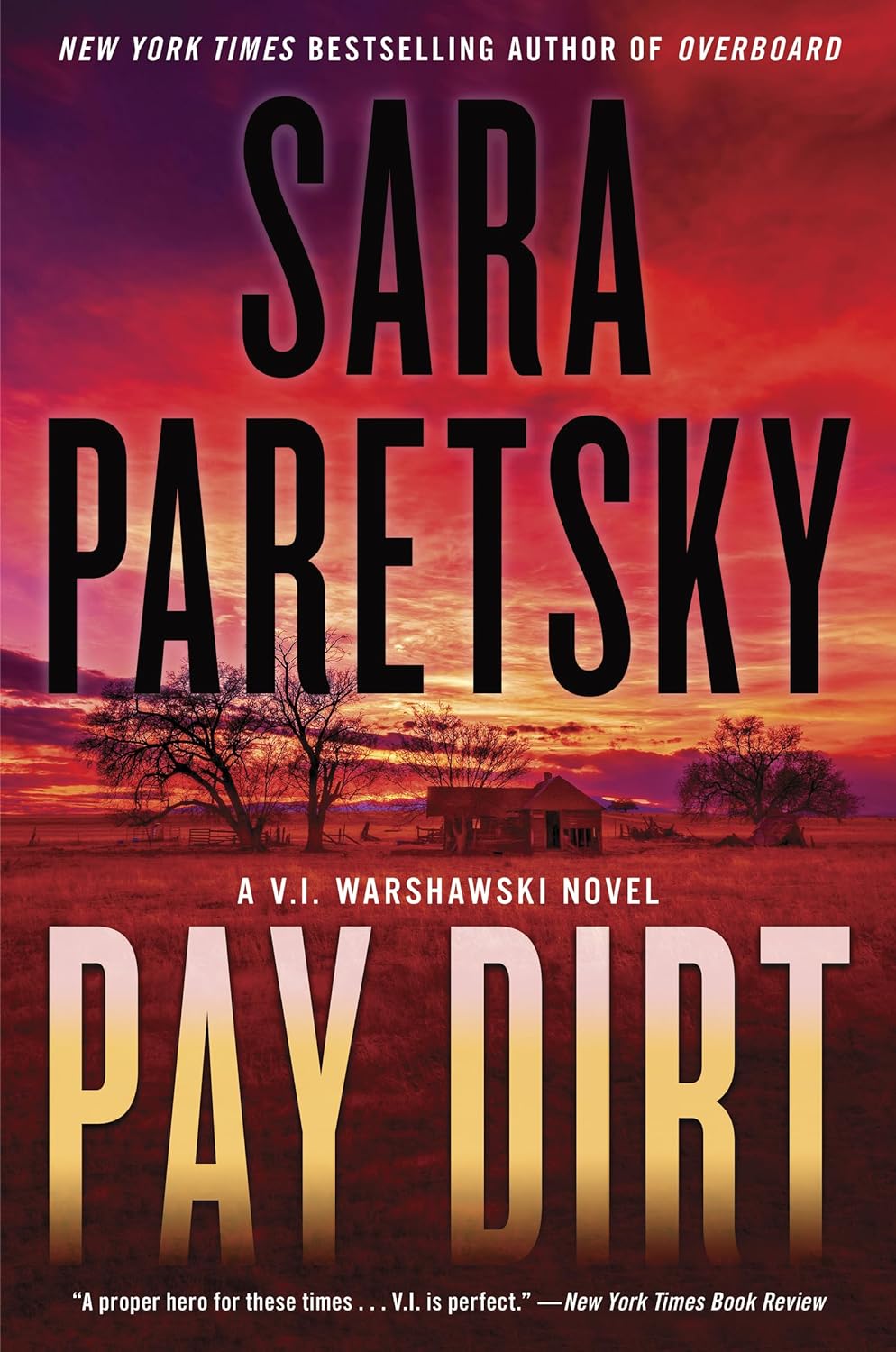 Image for "Pay Dirt"