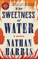Image for "The Sweetness of Water"