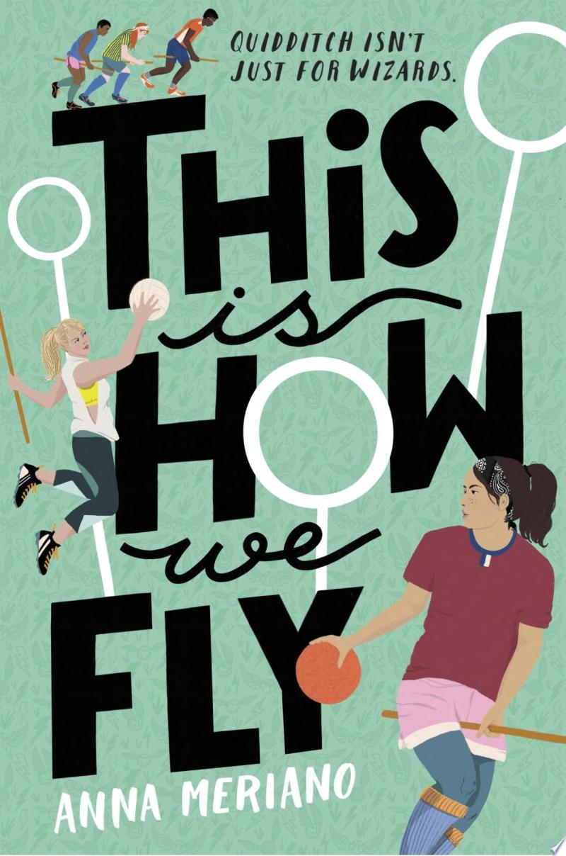 Image for "This Is How We Fly"