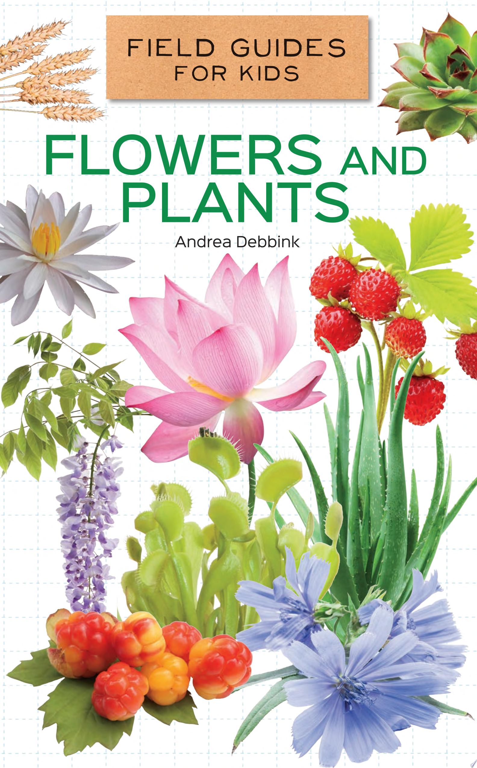 Image for "Flowers and Plants"