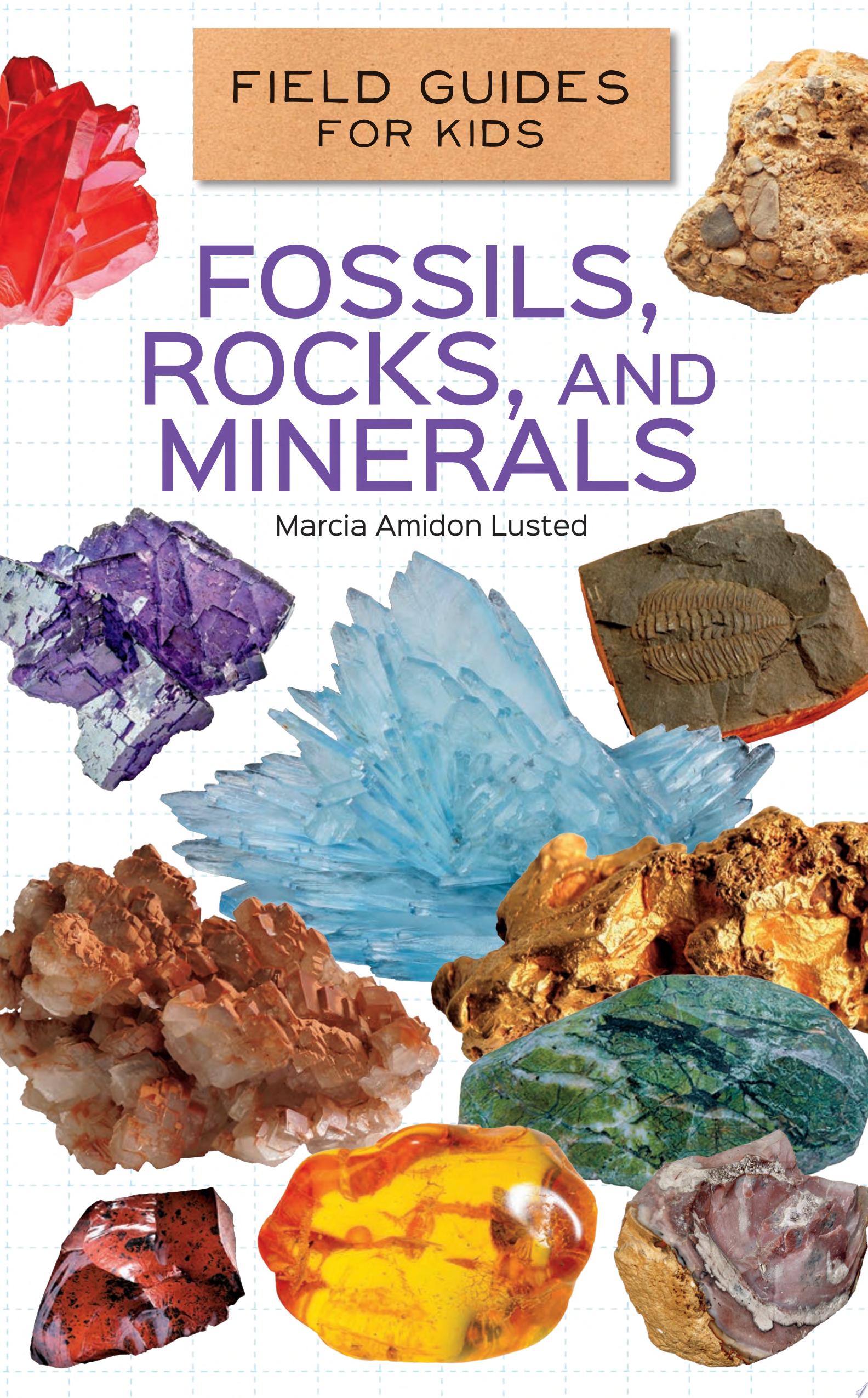 Image for "Fossils, Rocks, and Minerals"