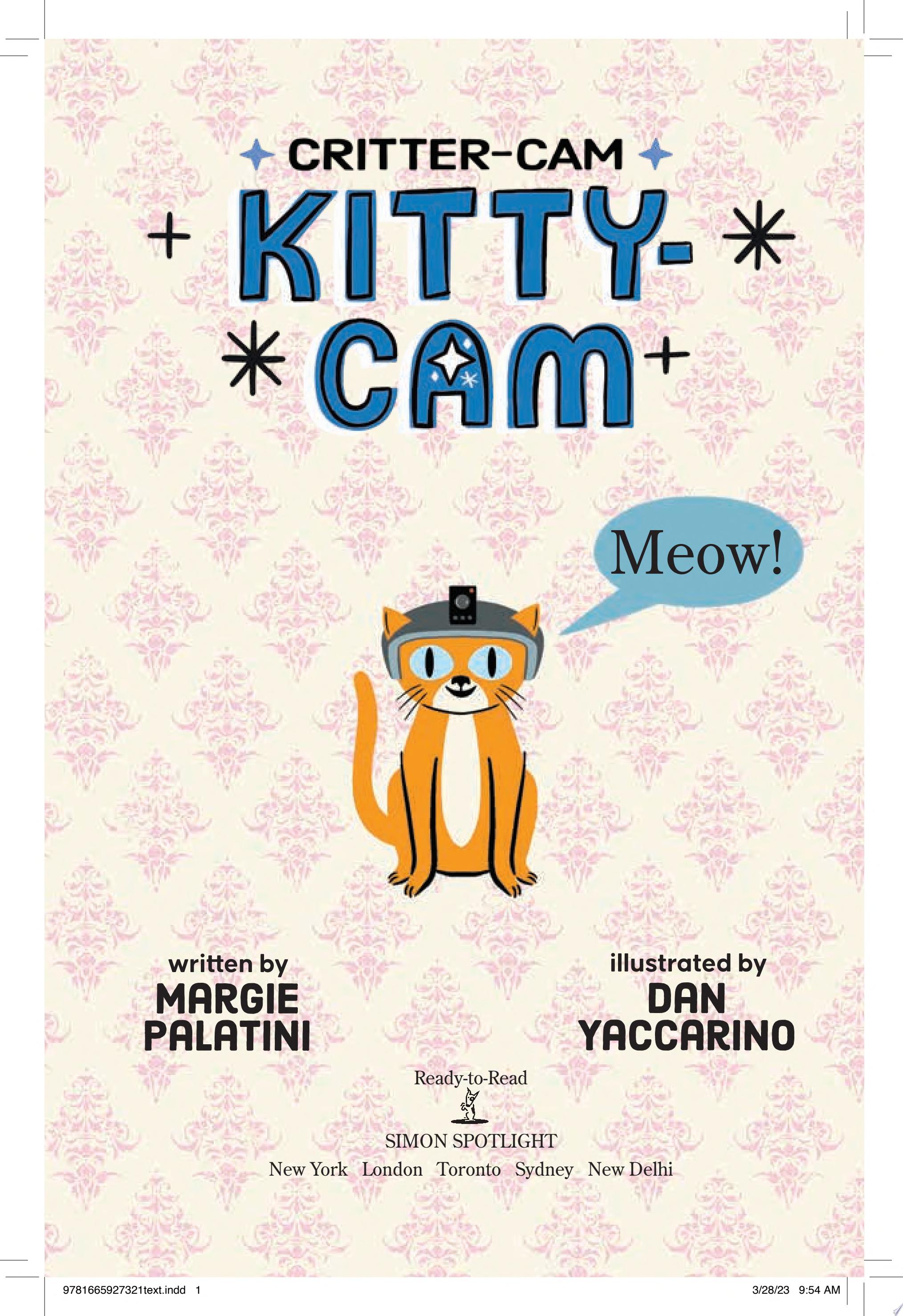 Image for "Kitty-Cam"