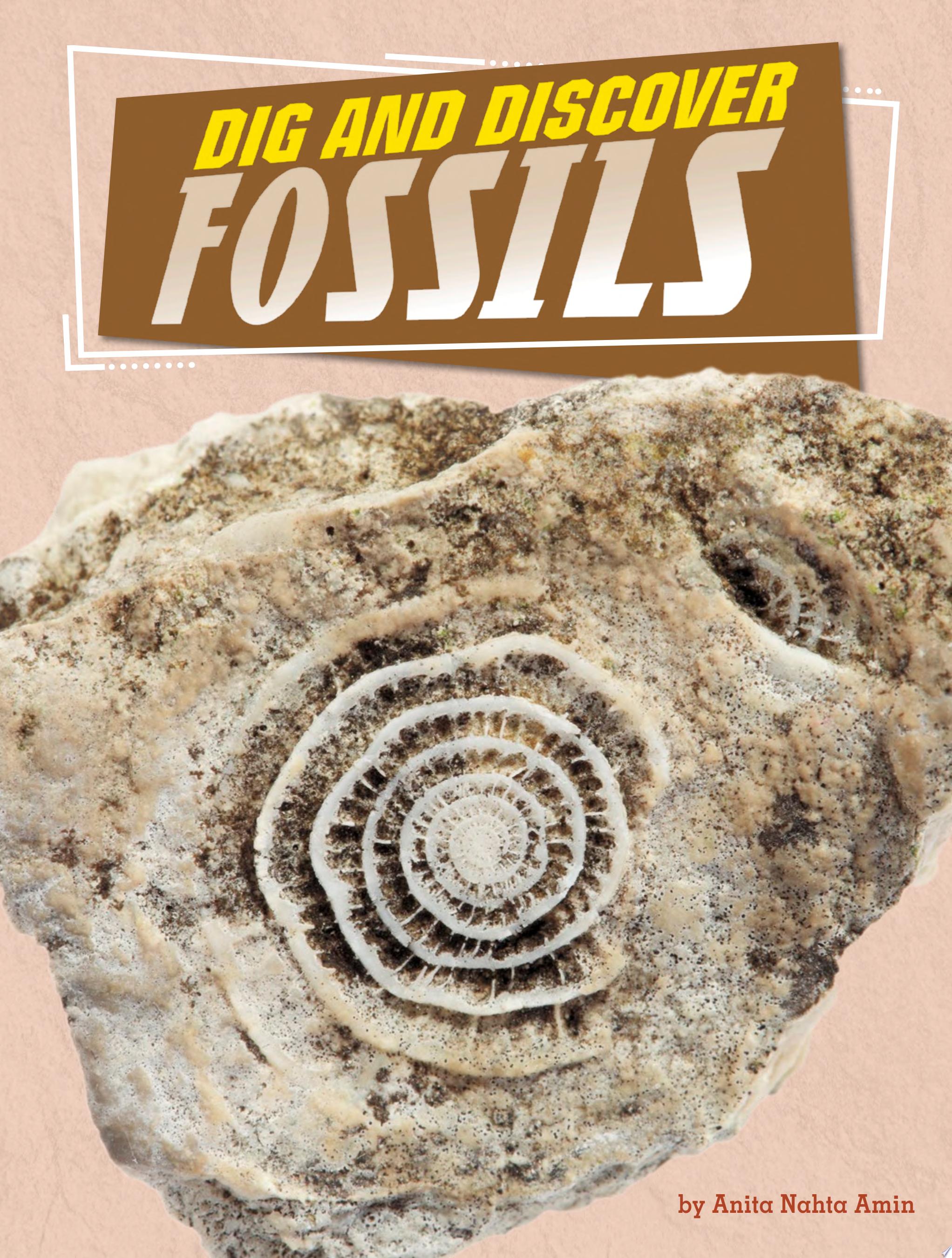 Image for "Dig and Discover Fossils"