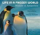 Image for "Life in a Frozen World"