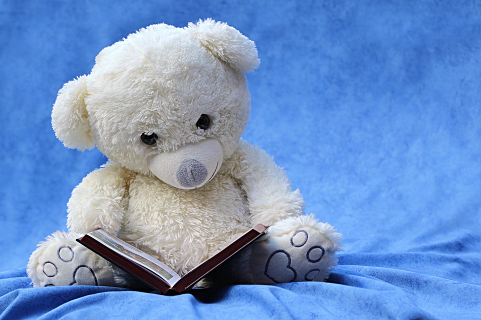 teddy bear reading book against a blue background