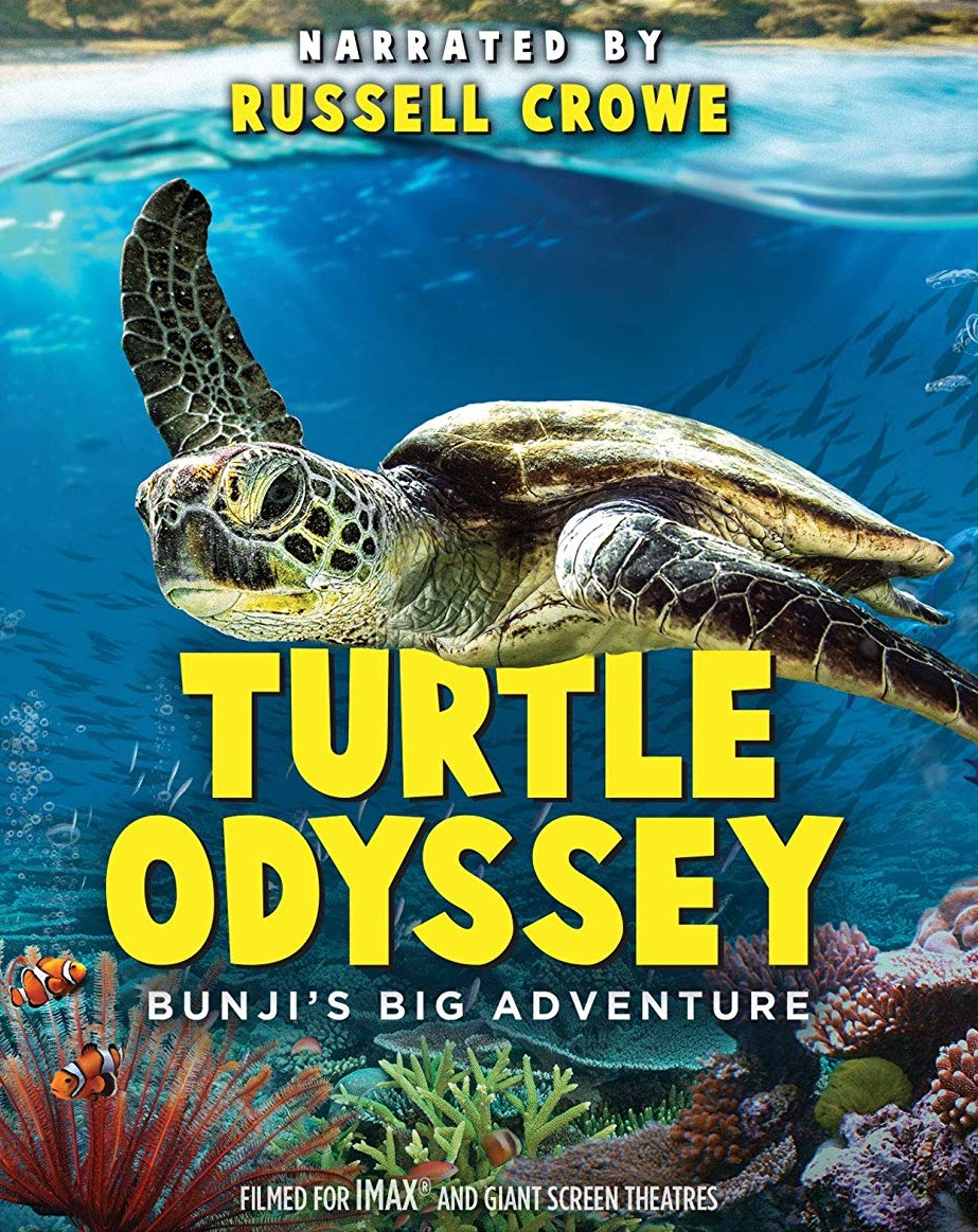 Turtle swimming in the ocean movie poster