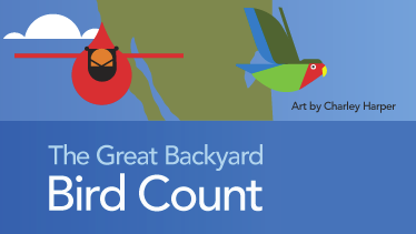 bird count logo
