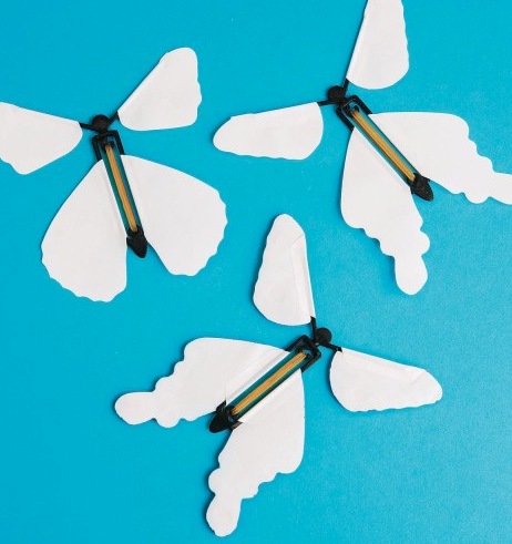 white butterfly fliers