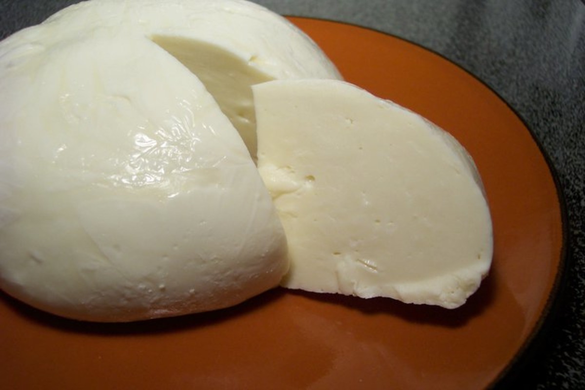 homemade mozzarella cheese
