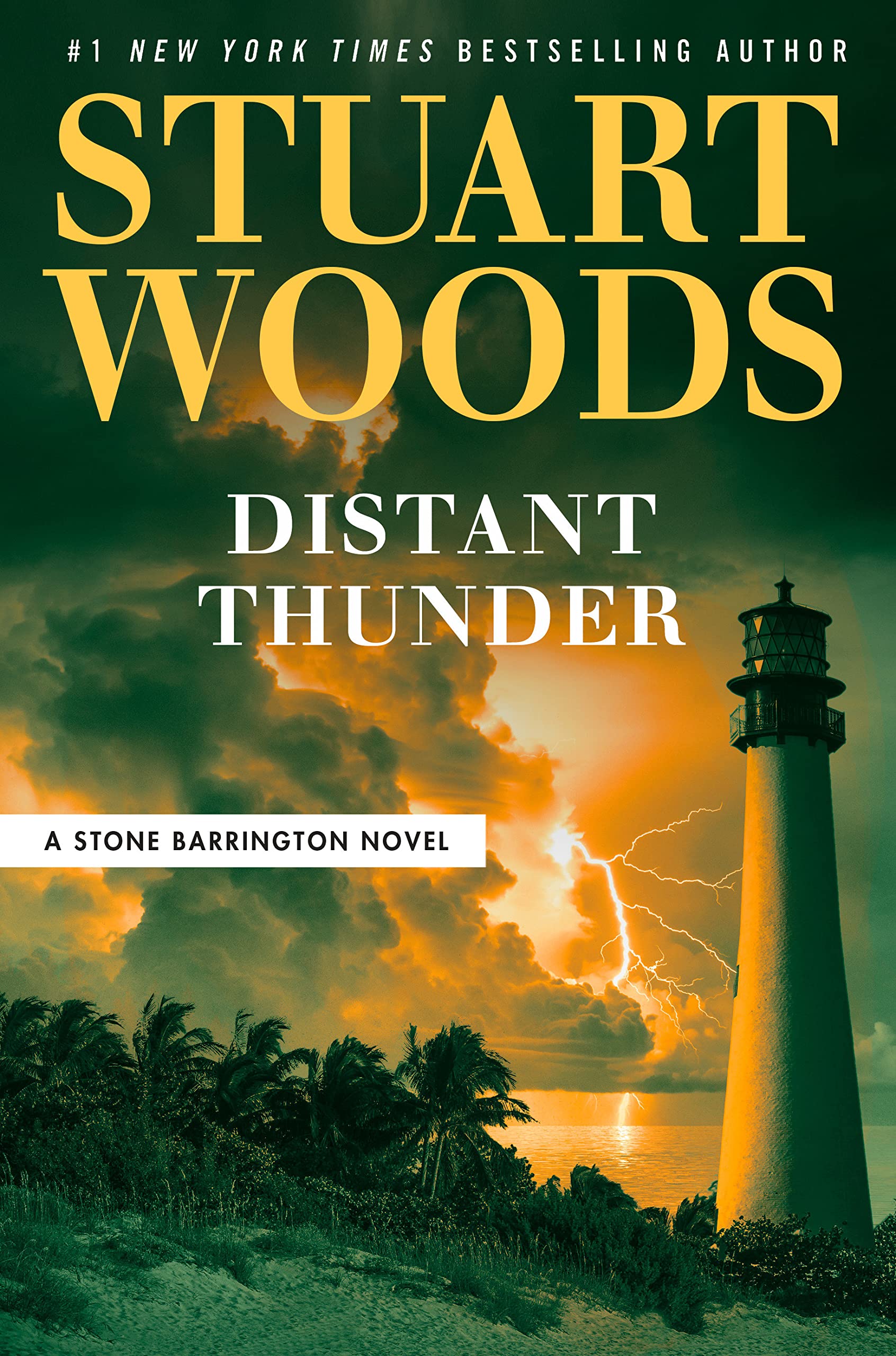 Image for "Distant Thunder"