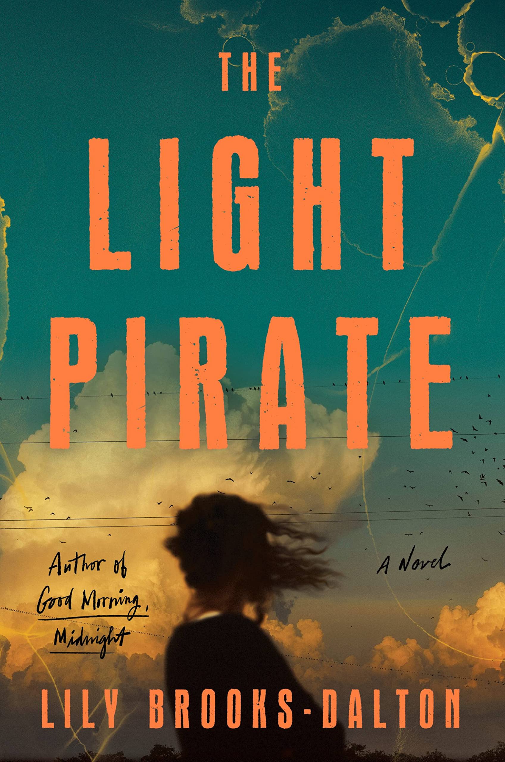Image for "The Light Pirate"