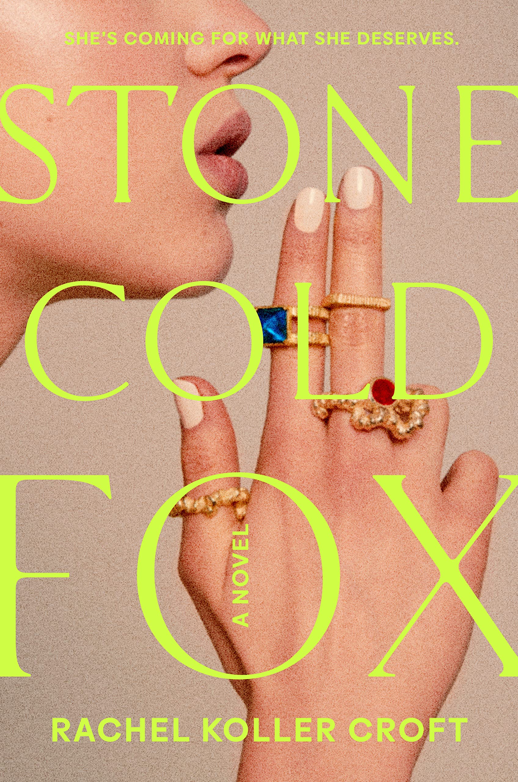 Image for "Stone Cold Fox"
