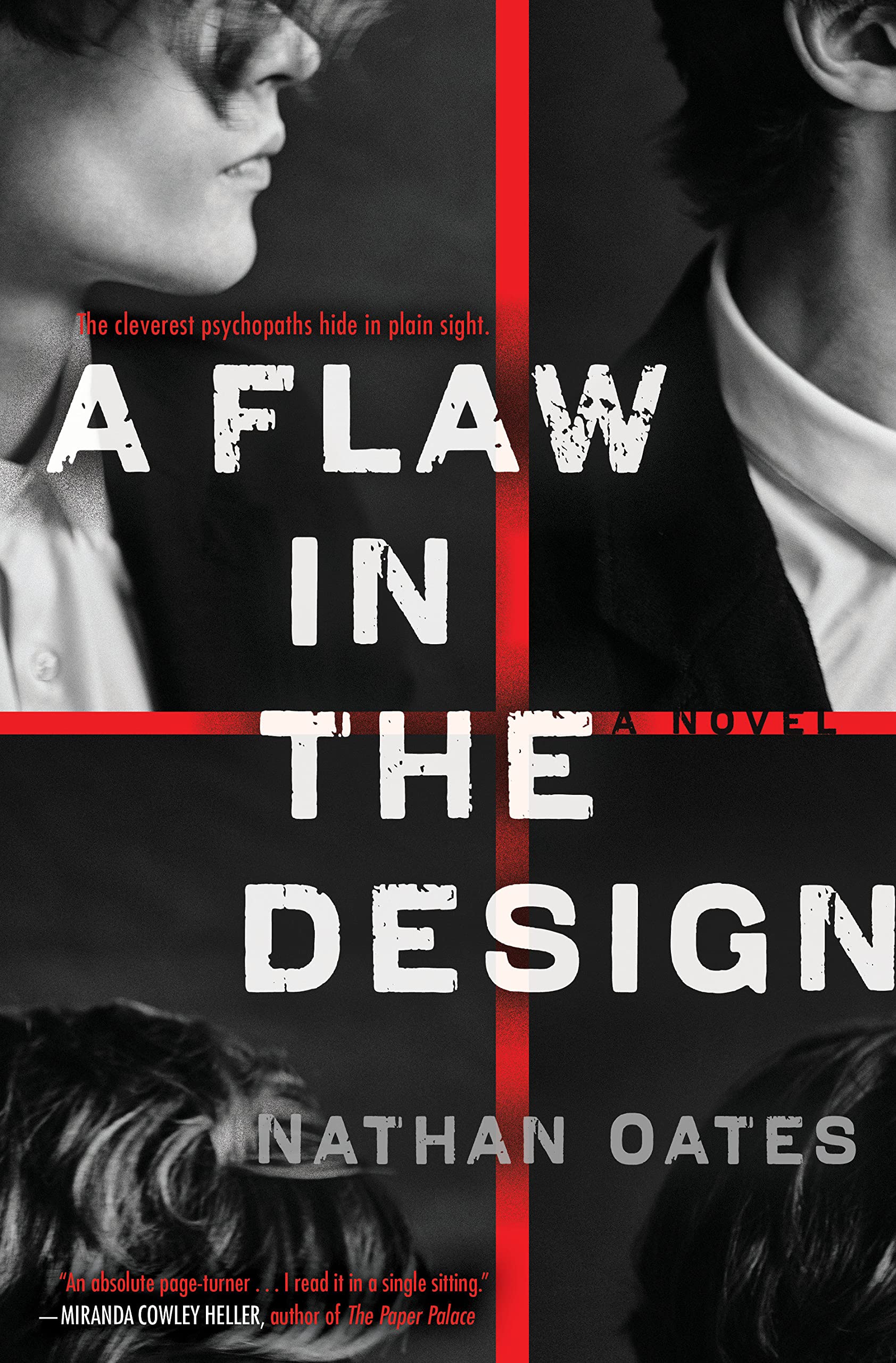 Image for "A Flaw in the Design"
