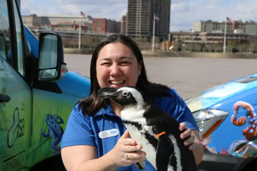 WAVE foundation staff member with an african penguin