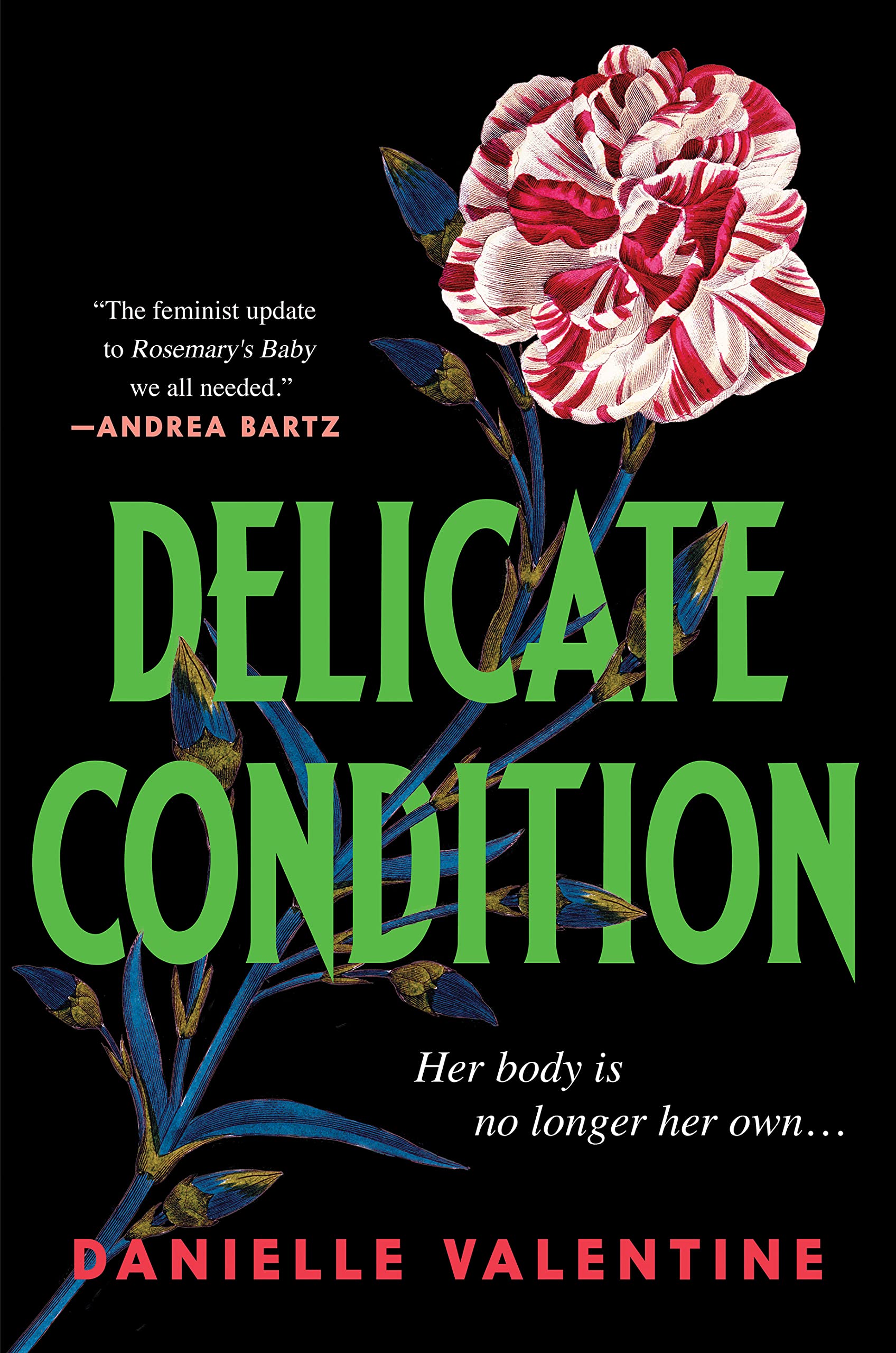 Image for "Delicate Condition"