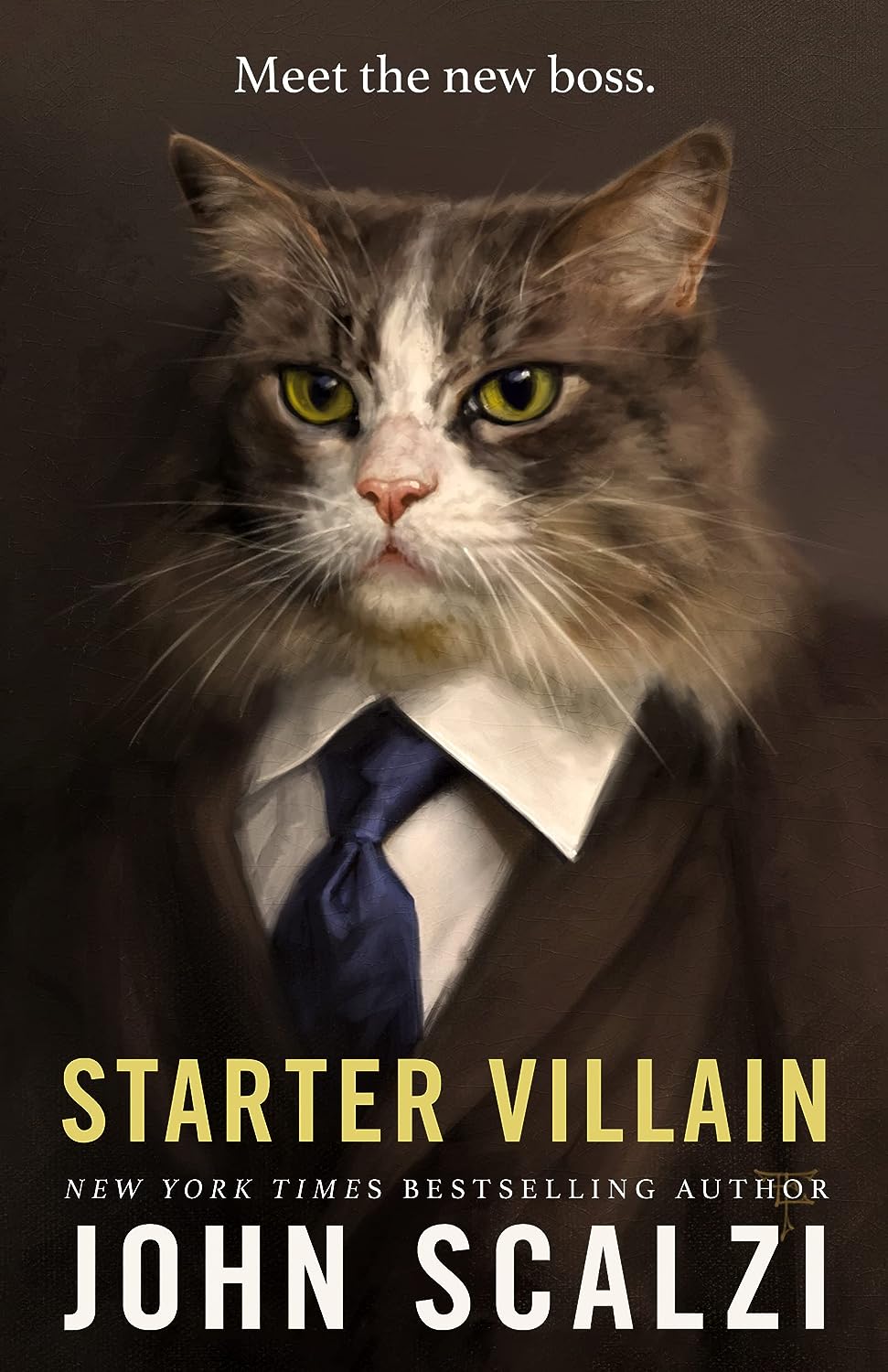 Image for "Starter Villain"