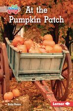 Image for "At the Pumpkin Patch"