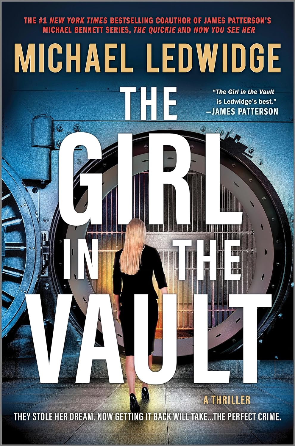 Image for "The Girl in the Vault"