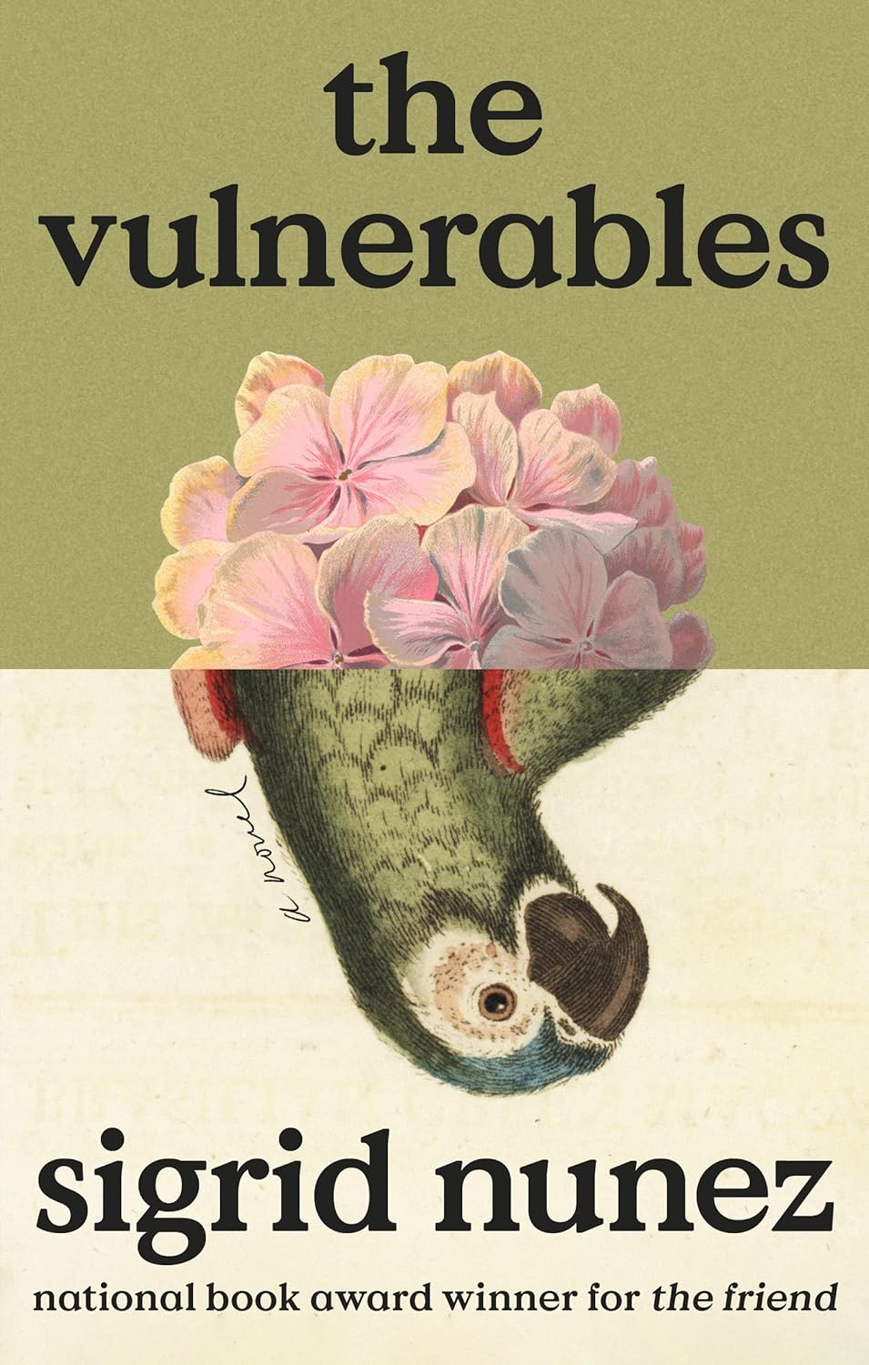 Image for "The Vulnerables"