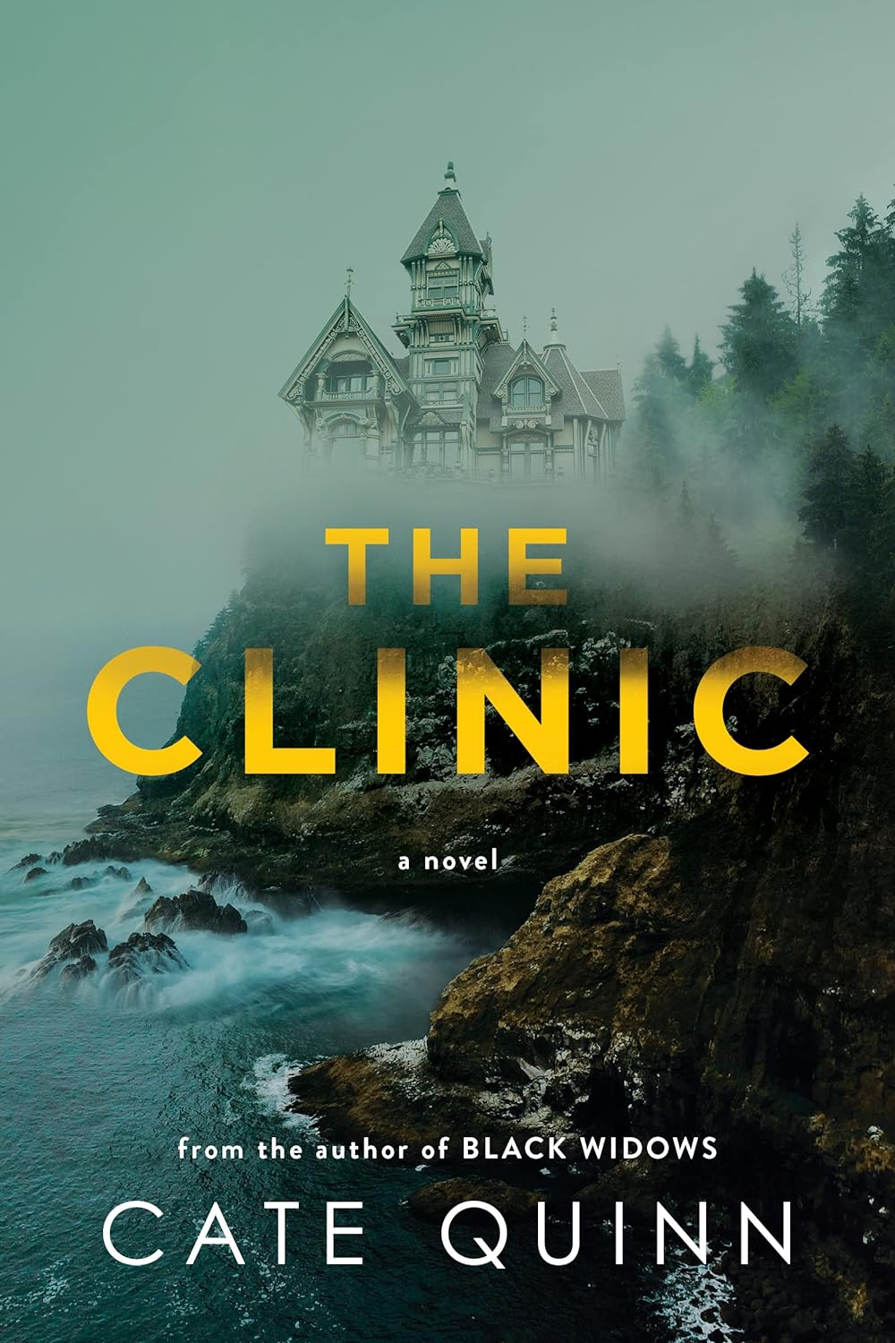 Image for "The Clinic"