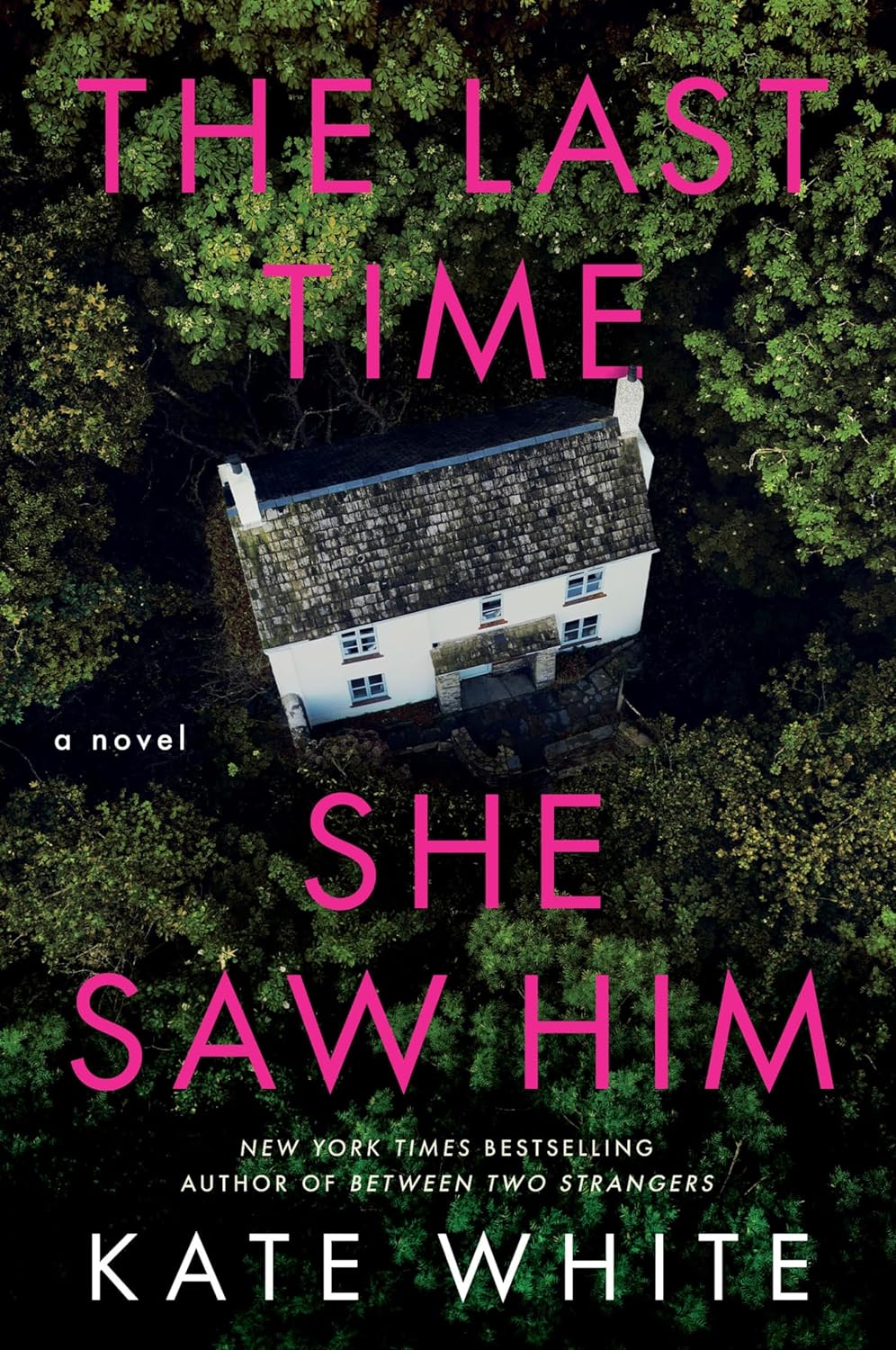 Image for "The Last Time She Saw Him"
