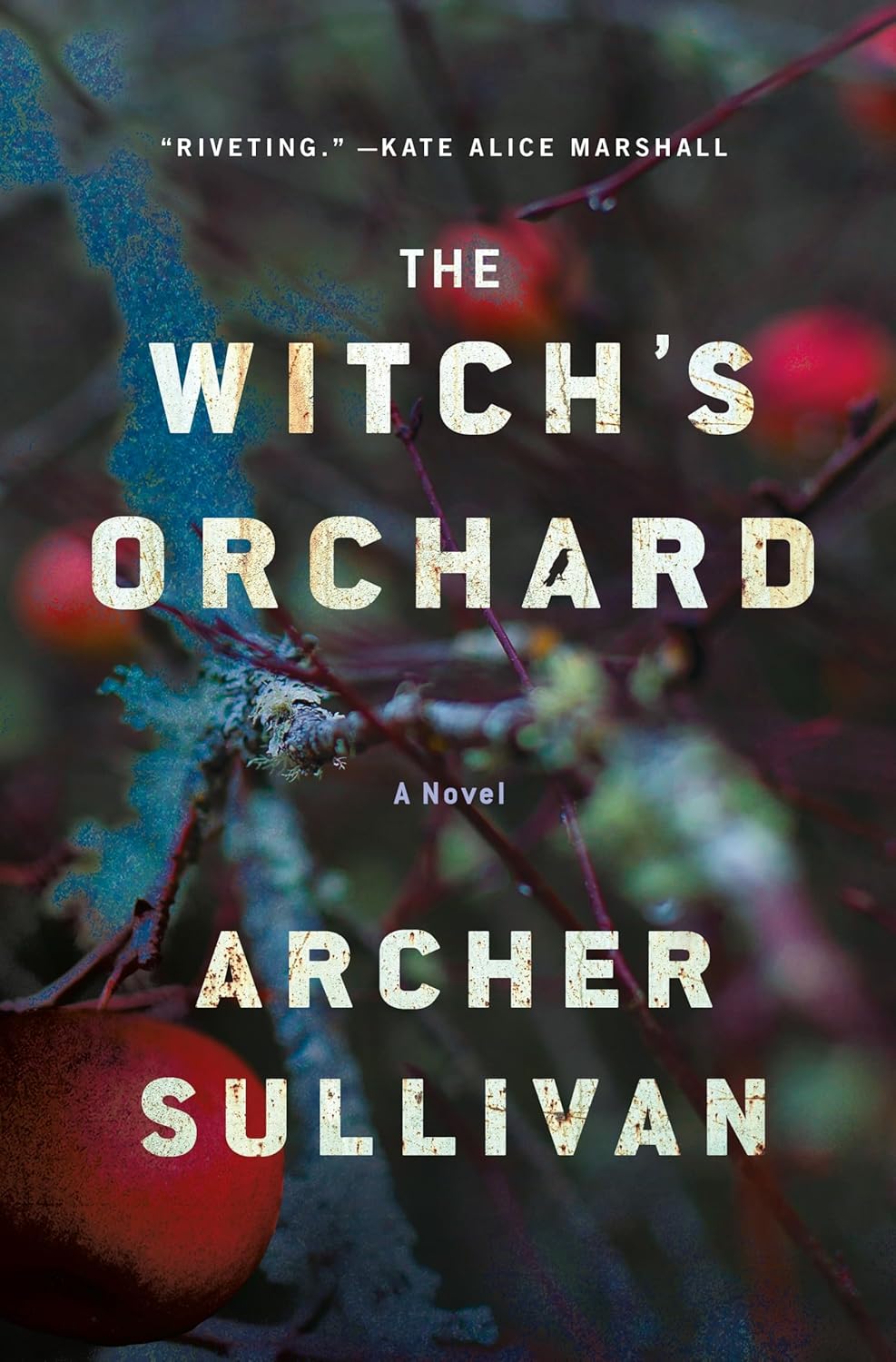 Image for "The Witch's Orchard"