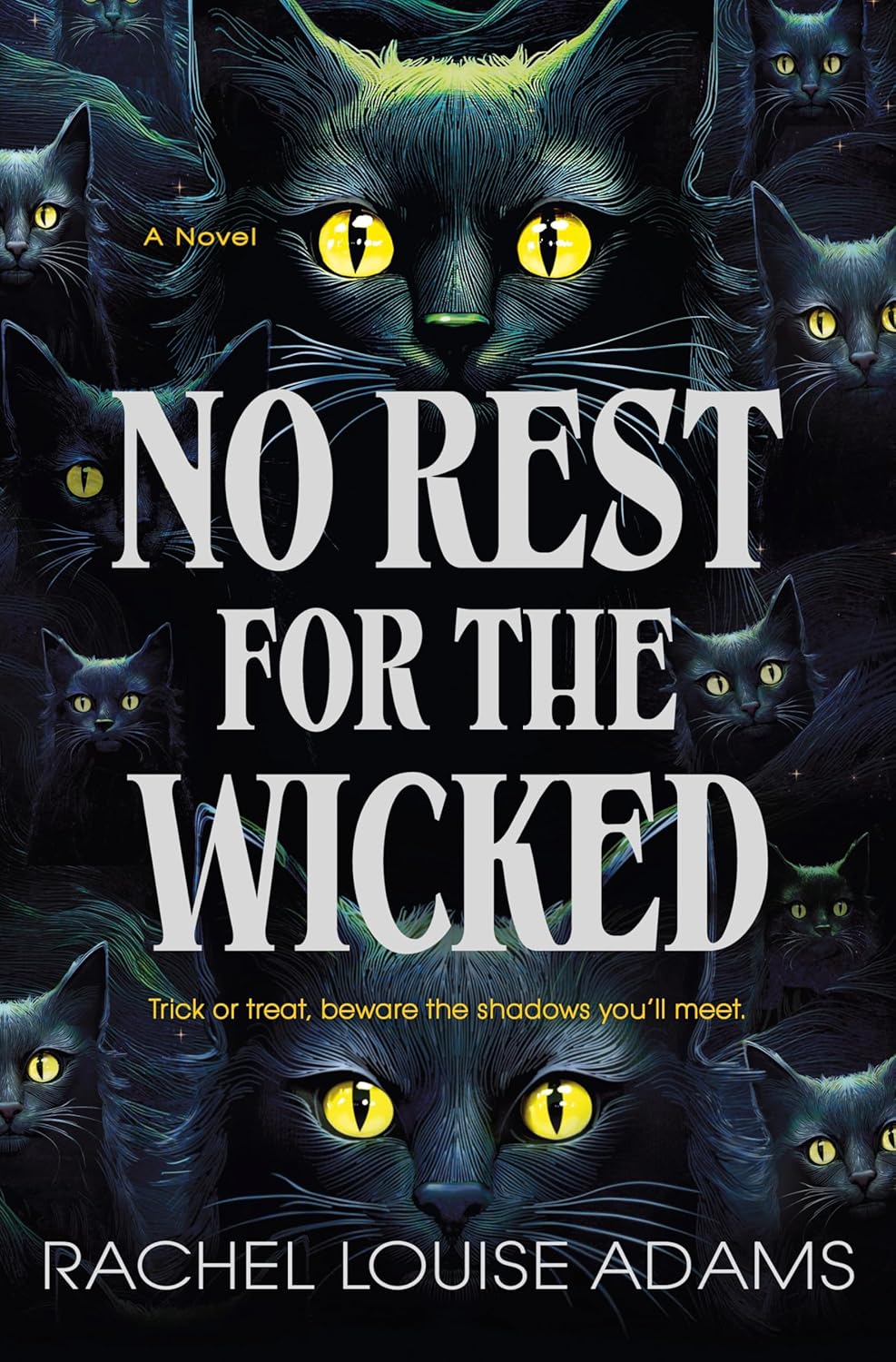 Image for "No Rest for the Wicked"