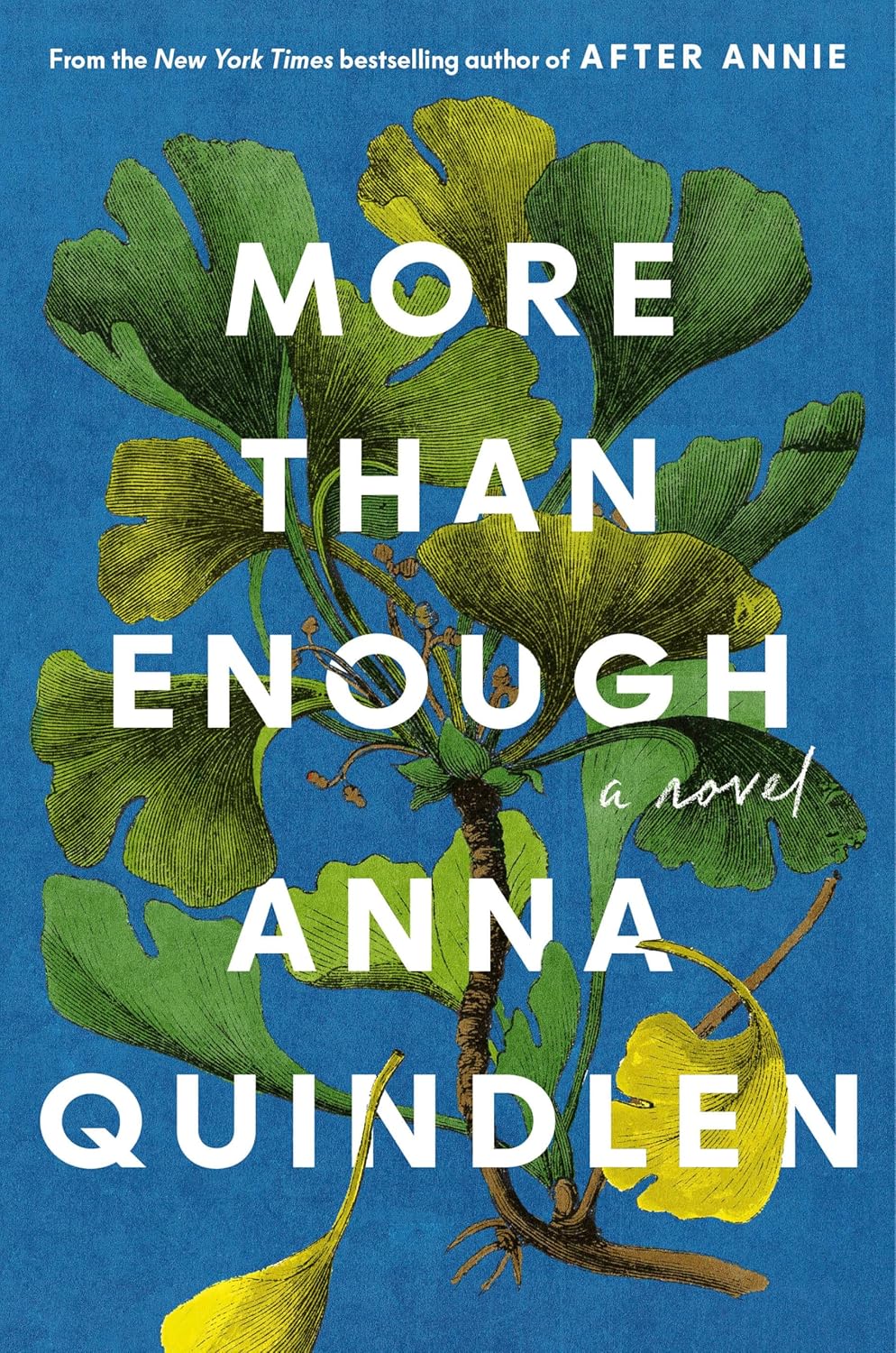 "More Than Enough" by Anna Quindlen