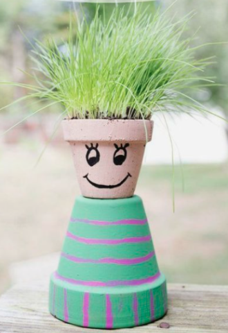 DIY Chia Pet