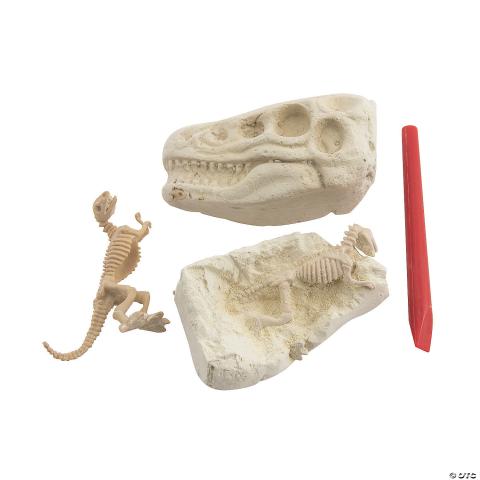 Image of dig & discover dinosaur fossils