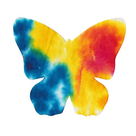 Colorful butterfly art
