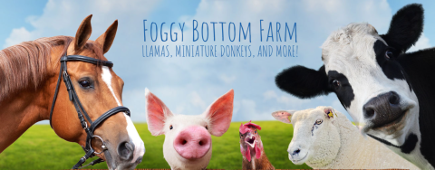 Foggy Bottom Farm logo with horse, pig, chicken, sheep, and cow