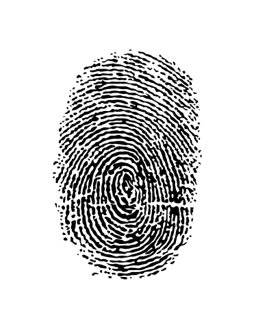 Image of a fingerprint