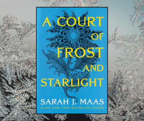 a Court of Frost and Starlight