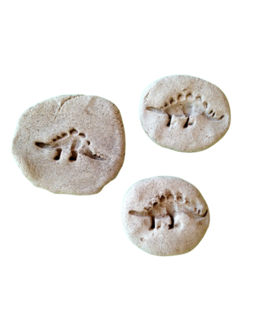 Image of salt dough stamped with dinosaur impressions