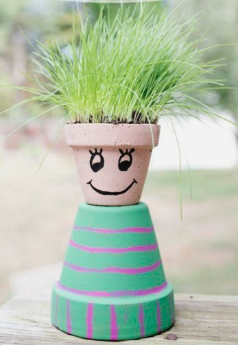 DIY Chia Pet
