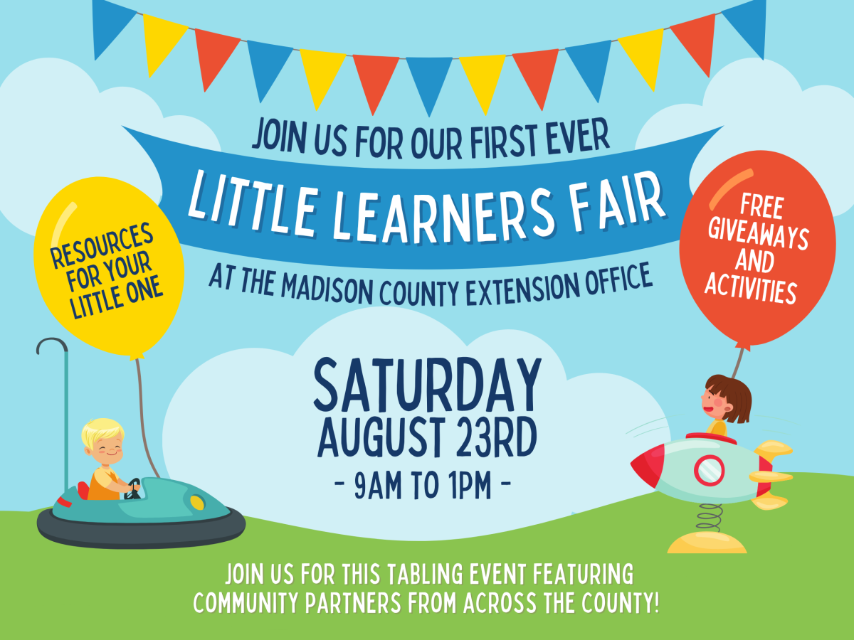 Little Learners Fair