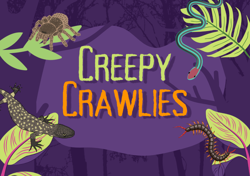 creepy crawlies logo
