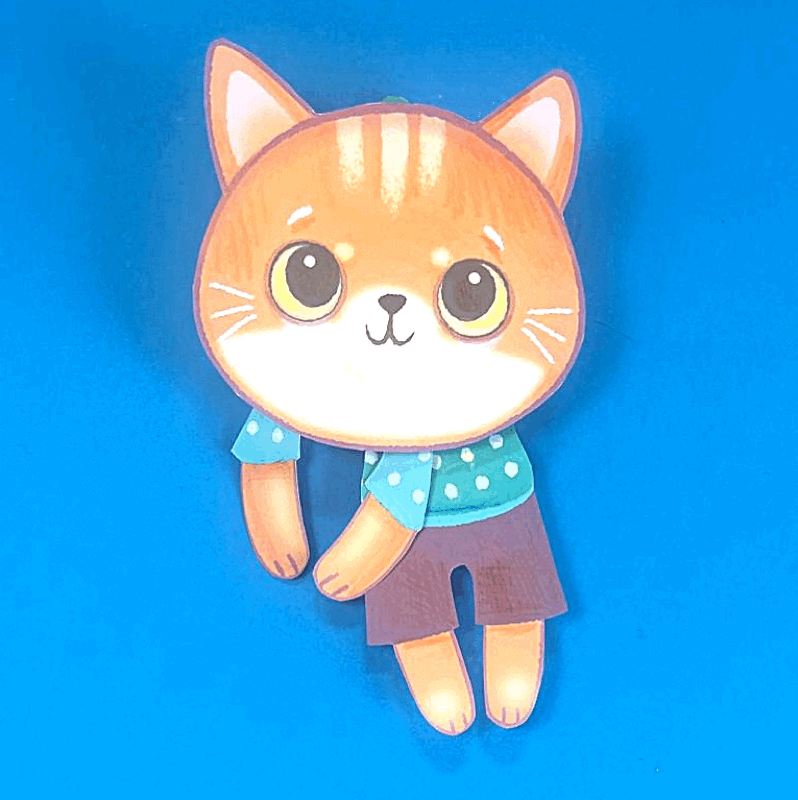 Image of a 2D swinging cat