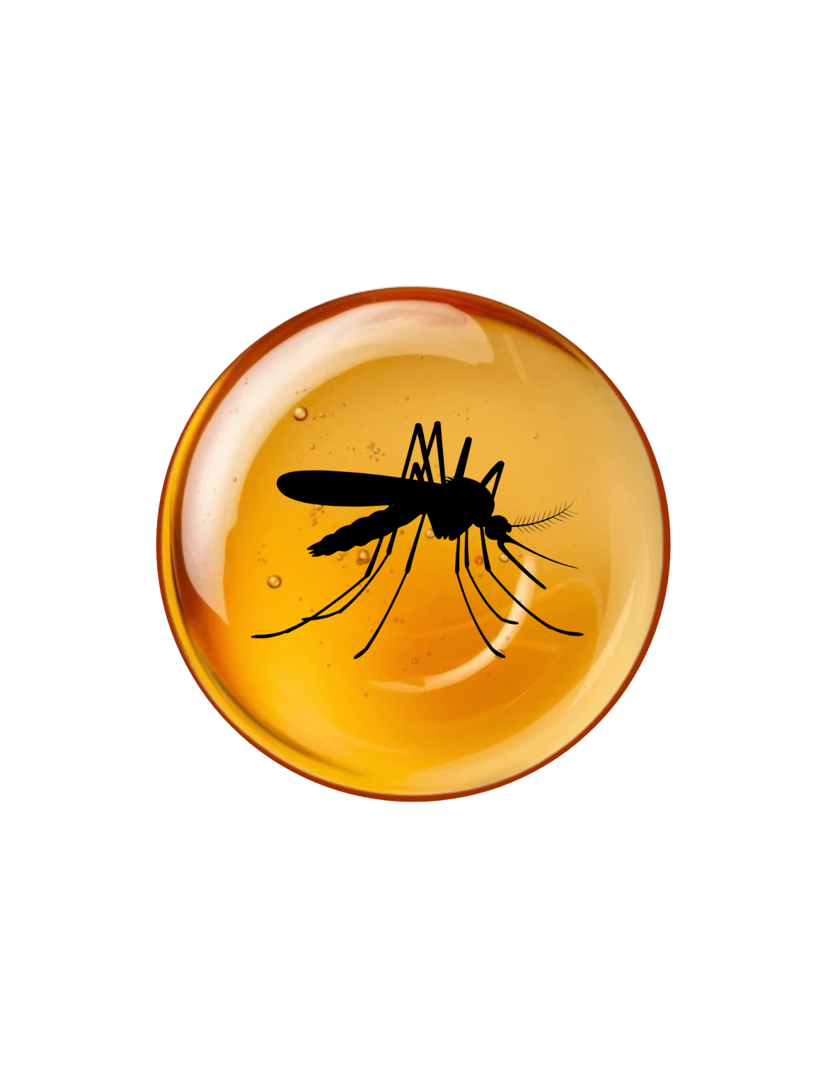 Image of a mosquito in amber