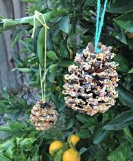 Pinecone birdfeeder